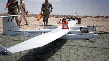 México usa drones para proteger a la casi extinta vaquita marina