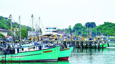 Panamá se une a la lucha contra la pesca ilegal