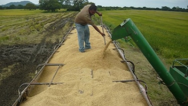 Cciap propone más investigación e innovación para el sector agrícola