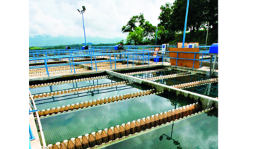 Sin agua, 50 mil personas