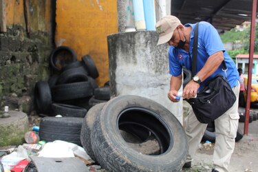 Panamá en alerta: dengue en auge con 9,830 casos y 22 muertes en lo que va del año 