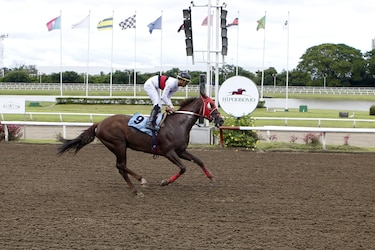 Gratia Plena remata con fuerza y conquista el Handicap La Prensa - Mi Diario