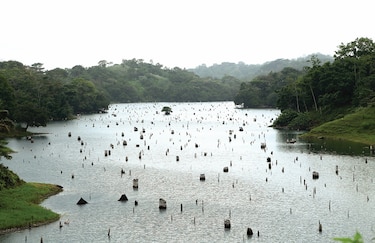 Canal contrató a USACE por $11.4 millones