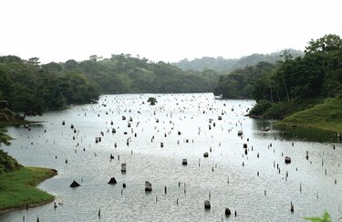 Canal contrató a USACE por $11.4 millones