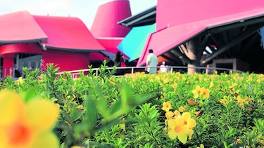 Visita el Biomuseo