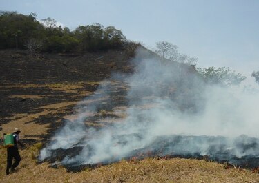 Ganaderos alertan a las autoridades por incendios provocados en Los Santos; reportan más de 100 hectáreas afectadas