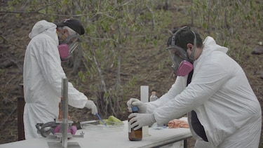 Cárteles mexicanos: La conexión asiática