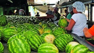 Frutas de exportación abastecen demanda local