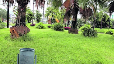 Licitan mantenimiento de cinta costera por $21.2 millones