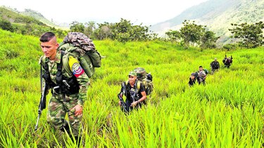 Clan del Golfo anuncia respeto a zonas de concentración para la paz