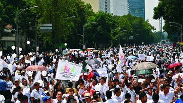 Miles marchan para oponerse al matrimonio homosexual