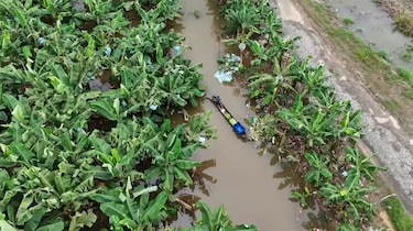 Bloqueo en la desembocadura del río San San mantiene inundadas fincas y comunidades de Changuinola, según productor