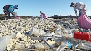 Un monstruo amenaza las Galápagos