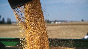 Paraguay envía maíz a EU tras diluvio que eleva los precios