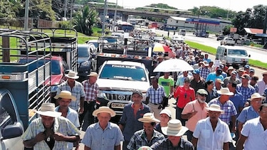 Productores agropecuarios dan plazo de 15 días al Ejecutivo