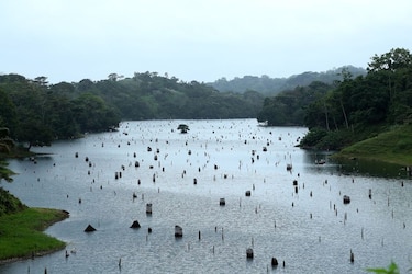 El lago Gatún se mantiene con 1.3 metros por debajo del nivel esperado
