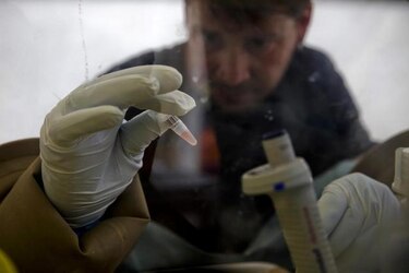 Epidemia de ébola es de las ‘más espeluznantes’ jamás registradas: OMS