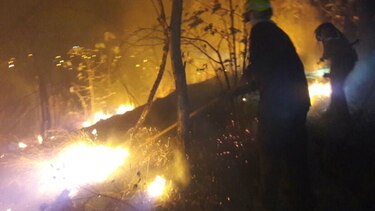 Finca de Varela Hermanos es alcanzada por incendio forestal