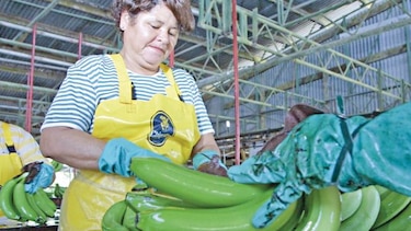 Exportaciones panameñas se concentran en 6 destinos