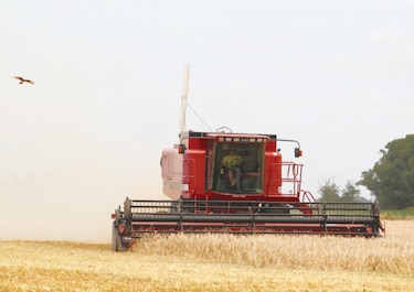  Precio de alimentos aumentó 28% a nivel mundial 