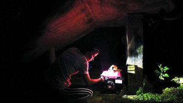 Jueza niega préstamo a empresa de Puerto Rico