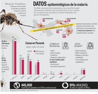 Malaria, una enfermedad sin erradicar