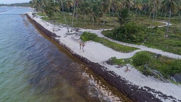 Punta Cana: paraíso turístico que sucumbe a la pérdida de playa y al afán hotelero