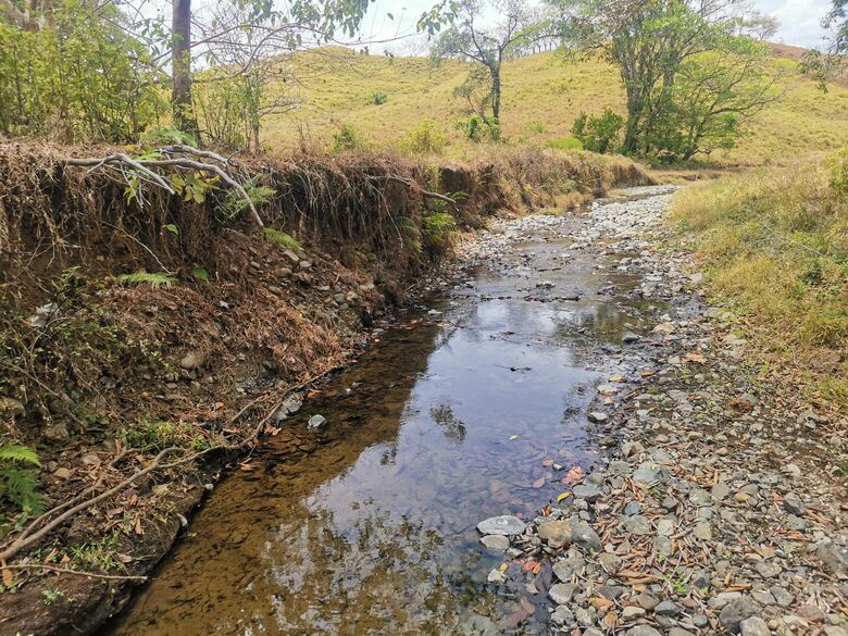 Contaminación por plaguicidas pone en peligro los ríos Chiriquí Viejo, Chagres y Tonosí