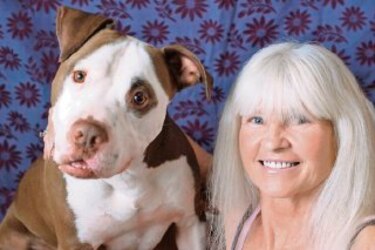 Famosos unidos por los perros