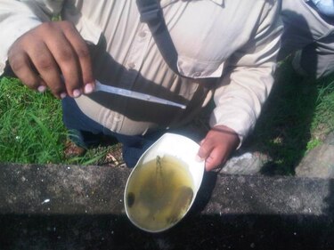 San Miguelito y área metropolitana, con más casos de dengue en el país