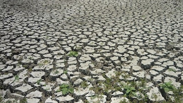 Fenómeno de El Niño podría extenderse hasta octubre