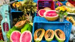 Cocina Gourmet: Sabores para días de sol