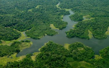 Selva amazónica sería fuente de emisión de CO2