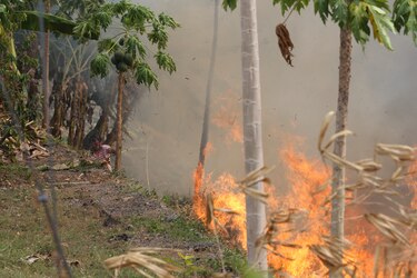 Emiten aviso por posible generación y propagación de incendios en el país