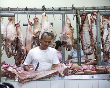 Alza en el precio del maíz impacta producción nacional