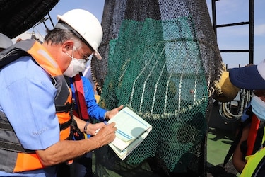 El próximo lunes culmina la veda del camarón y 464 barcos zarpan del puerto de Vacamonte