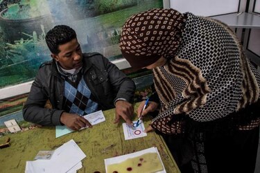 Mayoría apoya nueva constitución en Egipto