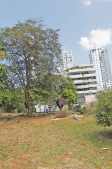 Anam aguarda cambios a estudio de edificio