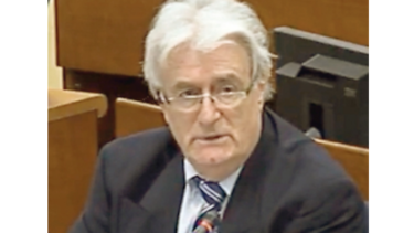 Karadzic apela condena a cadena perpetua