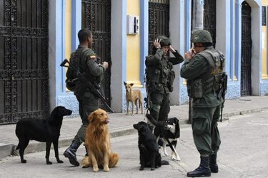 Secuestran a la hija de un comandante de la Policía colombiana