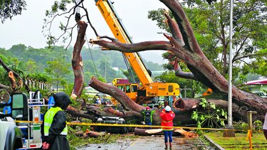 Otto causa muertes y daños en Panamá