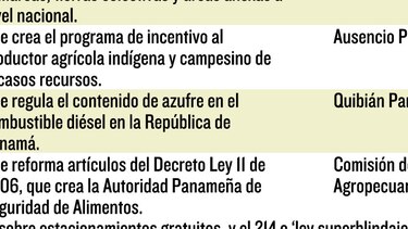 Diputados critican al Ejecutivo por vetar sus leyes