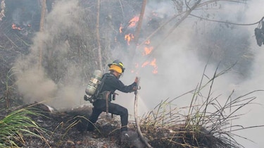 Instructores del Servicio Forestal de Estados Unidos capacitarán a panameños en combate de incendios forestales