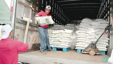 Denuncian importación de arroz del IMA en temporada de cosecha