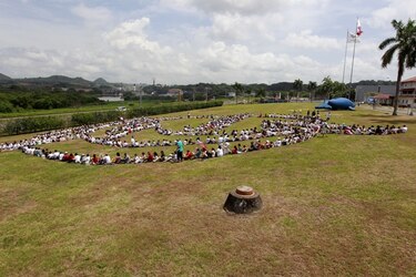 Ambientalistas reclaman en Panamá el fin a la matanza de cetáceos