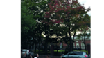Boston, la ‘Nueva Inglaterra’