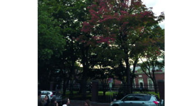 Boston, la ‘Nueva Inglaterra’