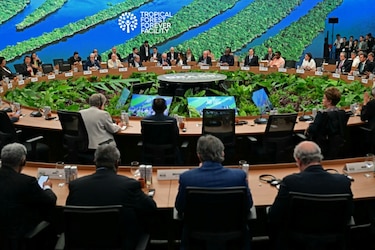 Brasil lanza en Belém un fondo mundial para proteger los bosques tropicales