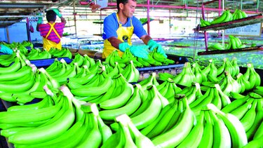 Exportaciones mantienen alza