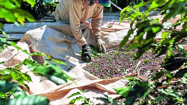 América Latina se expandirá 1.2%